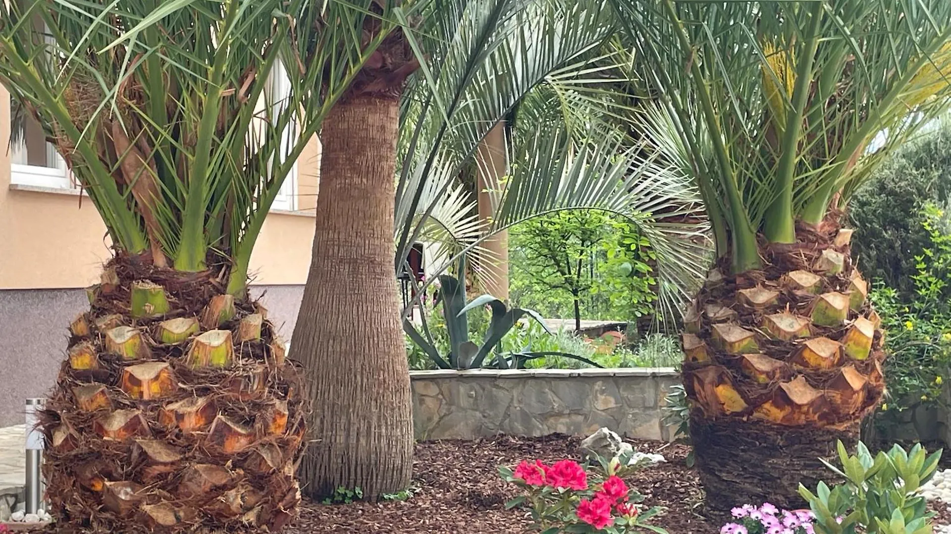Blue Palm Apartment, Ika-Opatija